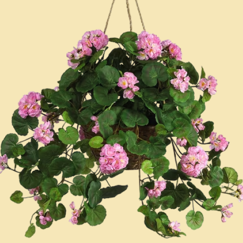 A hanging basket of pink flowers